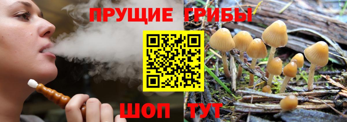 Рязань  Галлюциногенные грибы GOLDEN TEACHER  Вход с VPN  Псилоцибиновые грибы мицелий 